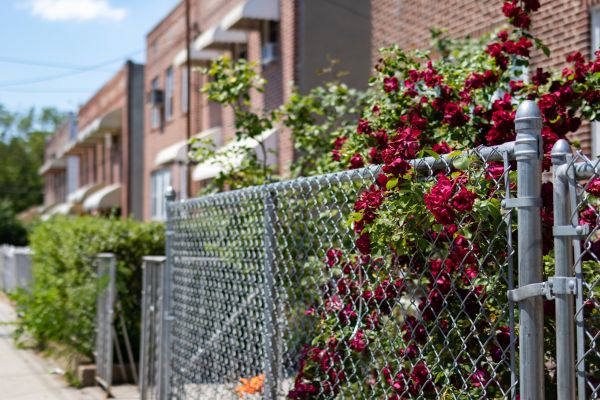 Chain Link Fence Replacement Service