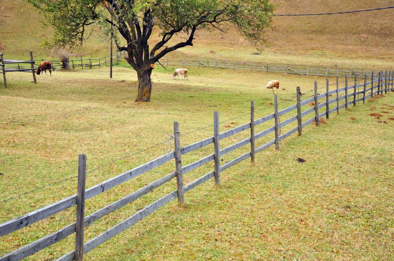 Farm Fencing Service