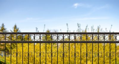 Ornamental Iron Fence Service detail